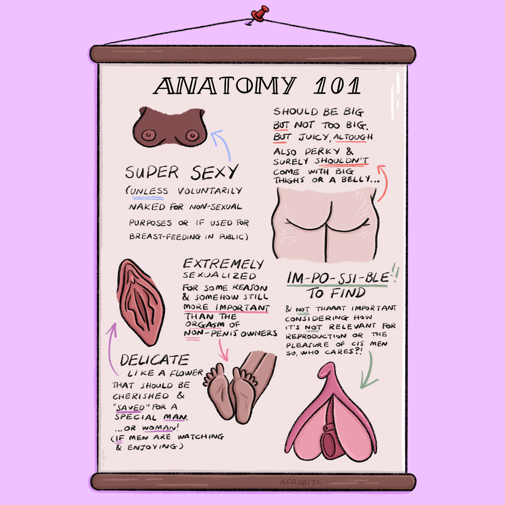 Anatomy 101